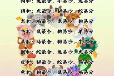 生肖马的姻缘配对，哪些生肖最合适？