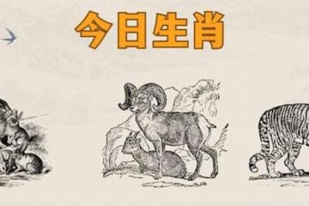 5月11日黄历运势指南（吉运生肖：虎 兔 羊）
