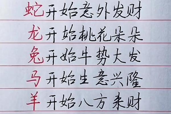 十二生肖：本命方位干净整洁，好运连连