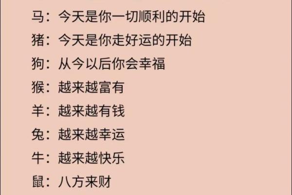 十二生肖：本命方位干净整洁，好运连连