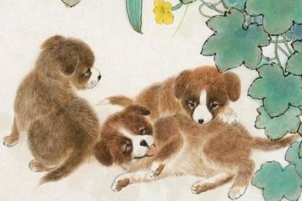 94年狗和94年狗是上等婚吗 两只94年生的狗配对算是高配婚姻吗