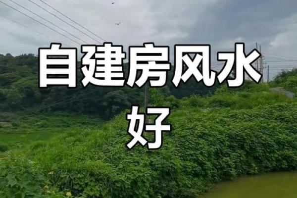 这些住宅风水让你越住越富有！