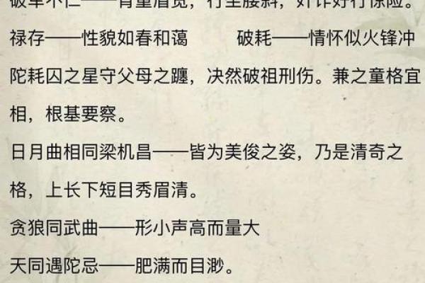 紫薇斗数小说