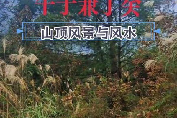 山顶老人的风水
