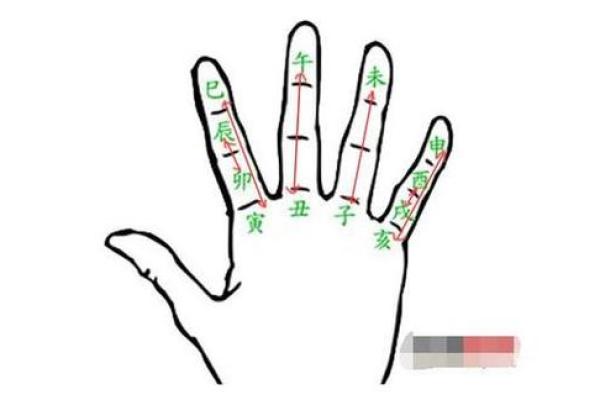 八字命理班（第一阶段）教学大纲