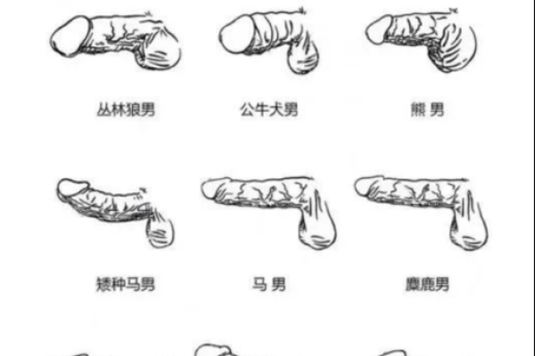 怎么看风水了
