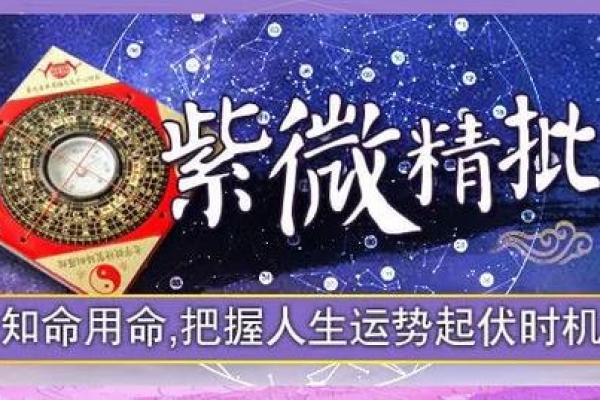 紫薇星耀的寓意