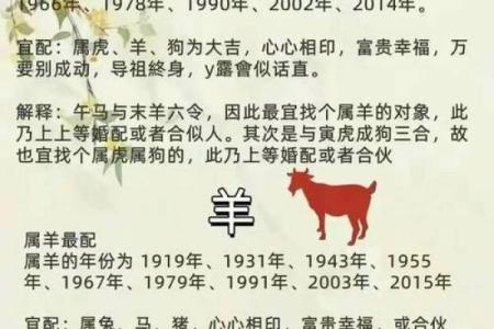 生肖配对查询男女
