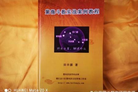 紫薇斗数小说