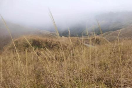 山顶老人的风水