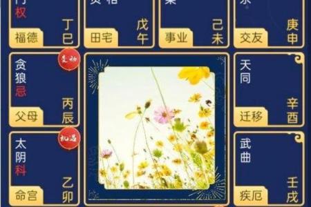 紫薇斗数原盘