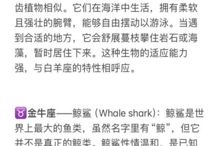 12星座喜欢哪种海洋动物