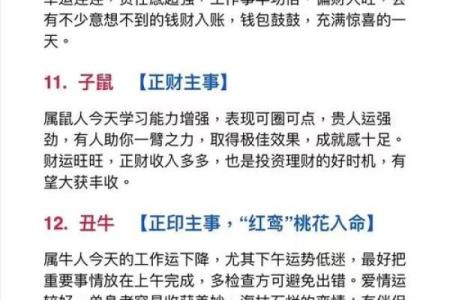 属狗在猪年财神在哪个方向