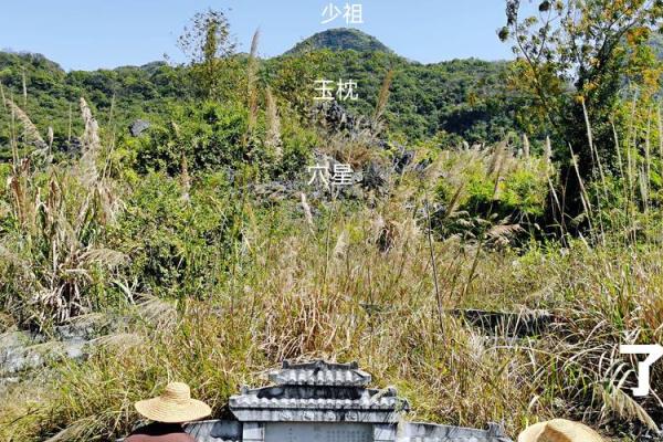 怎样的墓地有好风水