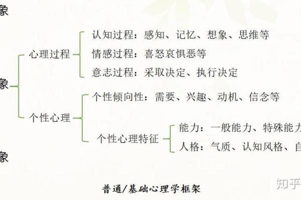 心理学与算命详解书