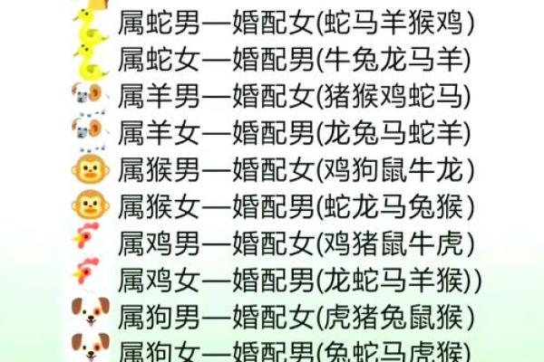 91年属什么生肖配对结婚 91年属什么动物