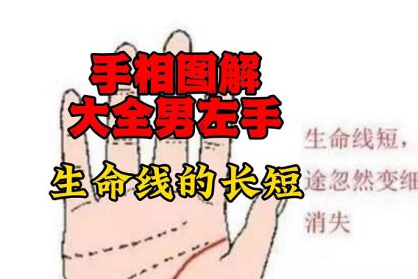 手纹线图解大全男人手相 男人算命看左手还是右手