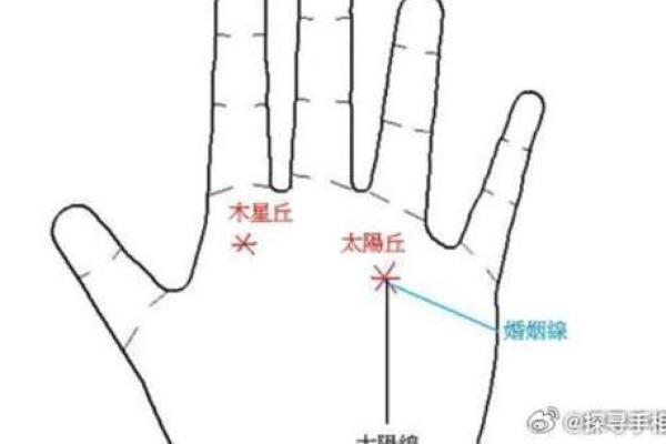 凯帝阿手相算命图解大全04