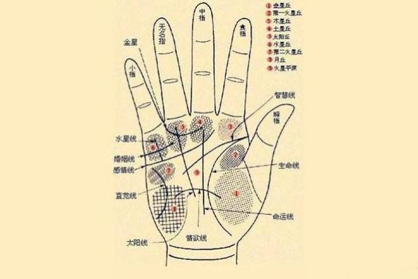 凯帝阿手相算命图解大全04