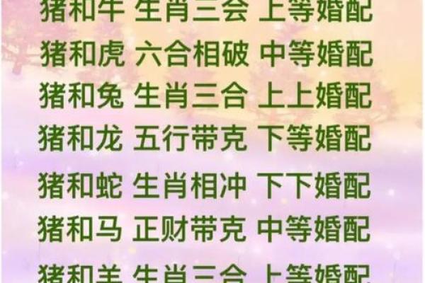 2000年属什么生肖配对男 2000年属什么生肖女婚配