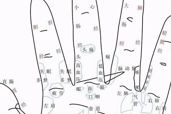 手纹算命图解【高清】