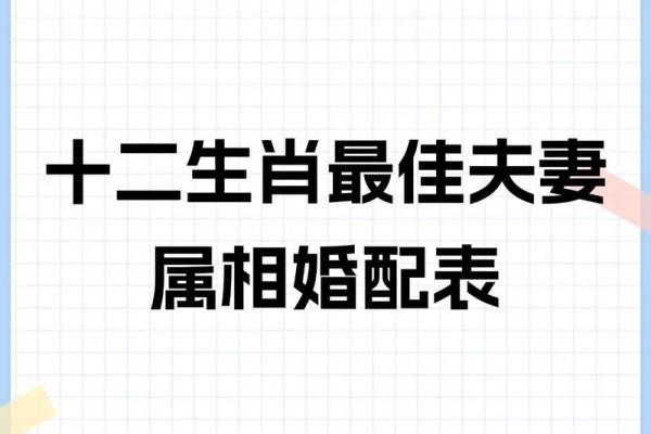 十二生肖婚配大全表 12生肖婚姻最佳配对表图片