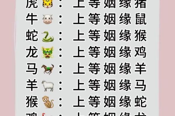 十二生肖婚配大全表 12生肖婚姻最佳配对表图片