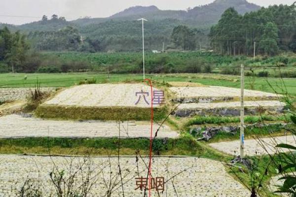 墓地风水的穴位怎么找