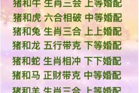 2000年属什么生肖配对男 2000年属什么生肖女婚配