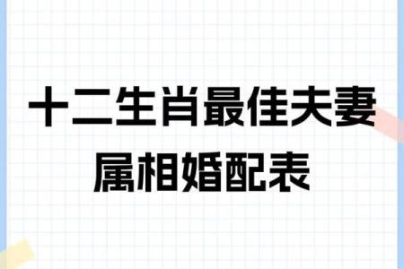 十二生肖婚配大全表 12生肖婚姻最佳配对表图片