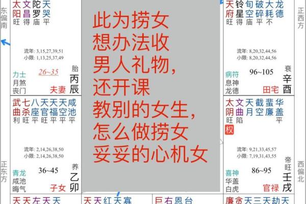 紫薇斗数化忌是怎么来的