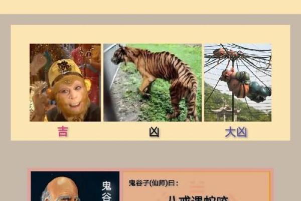 12生肖出行方位吉凶