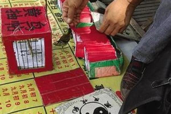 灵签占卜下半年收获