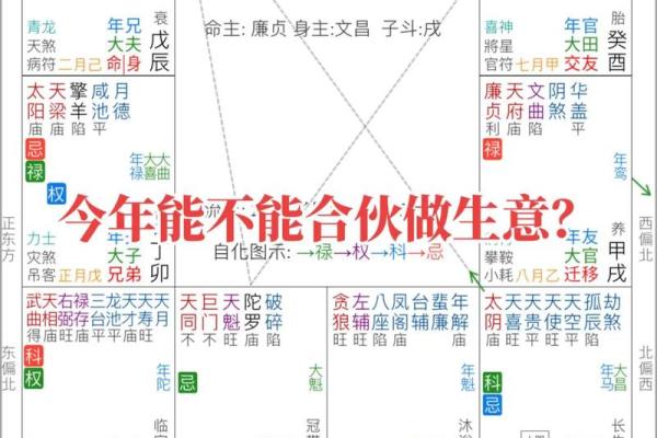 紫薇斗数易学难精