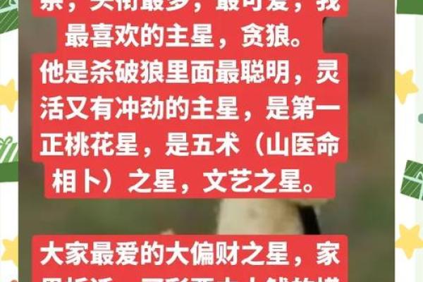紫微斗数－贪狼星