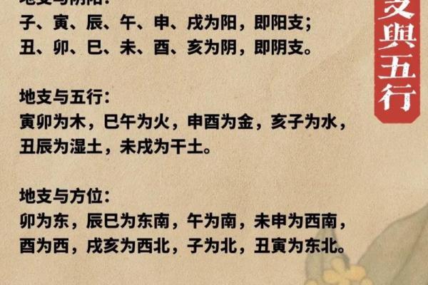 五行八字查询