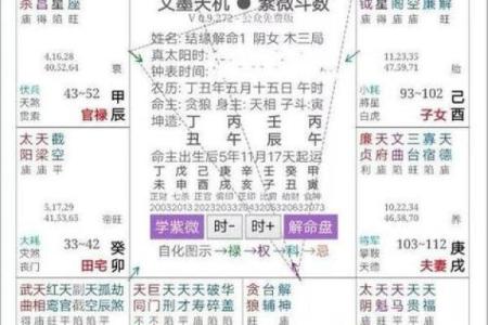 紫薇斗数好命盘