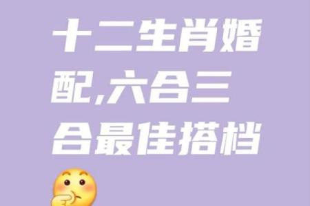 配对幸福一生的生肖