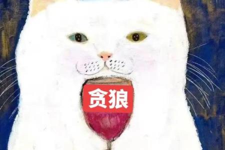 紫微斗数－贪狼星