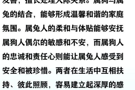 狗的属相配对婚配表