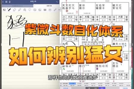 紫微斗数自化多 紫薇自化？