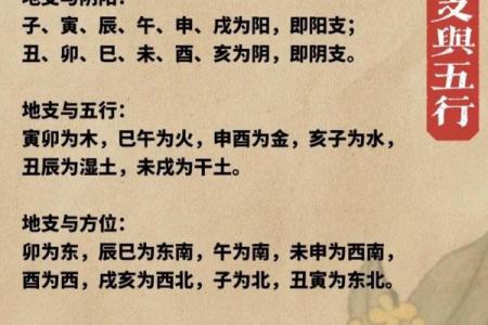 五行八字查询