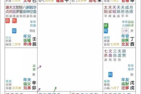 紫薇斗数入门到精通