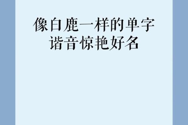 凌晨2点出生的属蛇男孩如何起名合适姓名