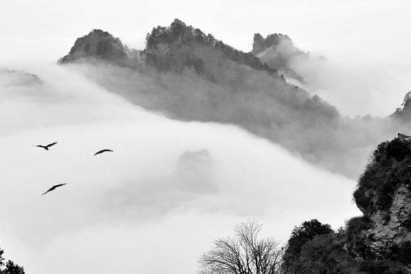 观音灵签水墨先生80