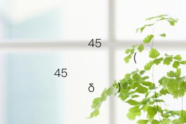 吕祖灵签57问婚姻