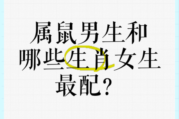 生肖配对：属鼠的和什么属相最配