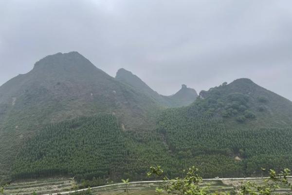 农村老房子与菜地风水布局