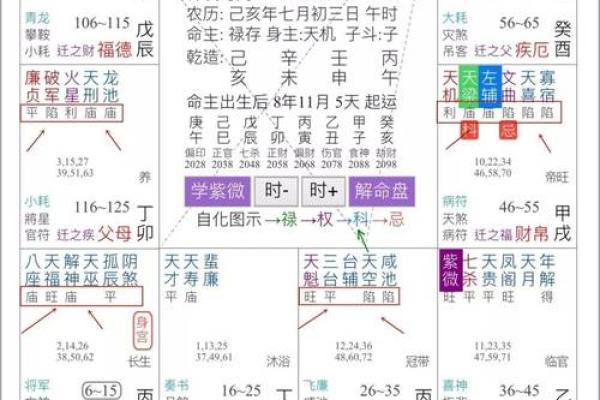 流年紫薇斗数空曜