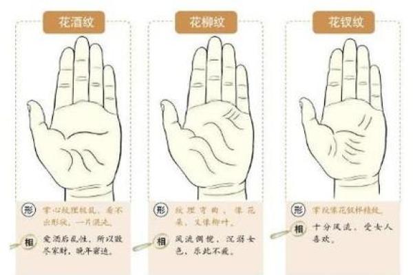 看手相算命大师免费下载